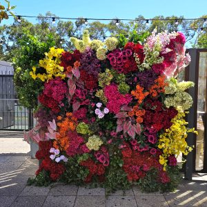 Albion Flower Wall hire Sydney