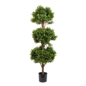 120cm Boxwood Triple Ball Tree hire Sydney