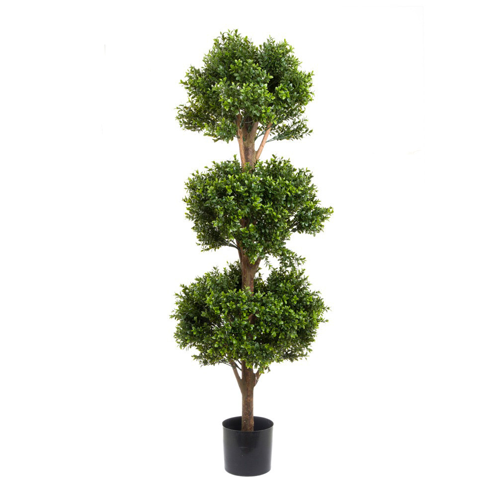 120cm Boxwood Triple Ball Tree hire Sydney