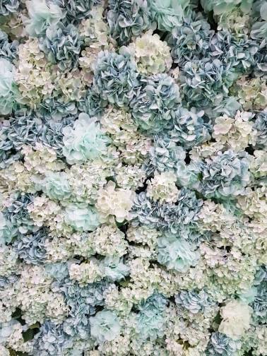 Baby Blue Flower Wall hire Sydney