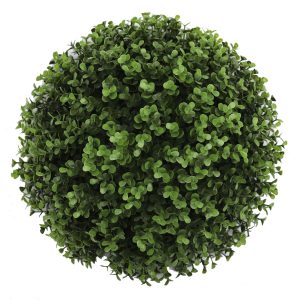 28cm Buxus Plant hire Sydney