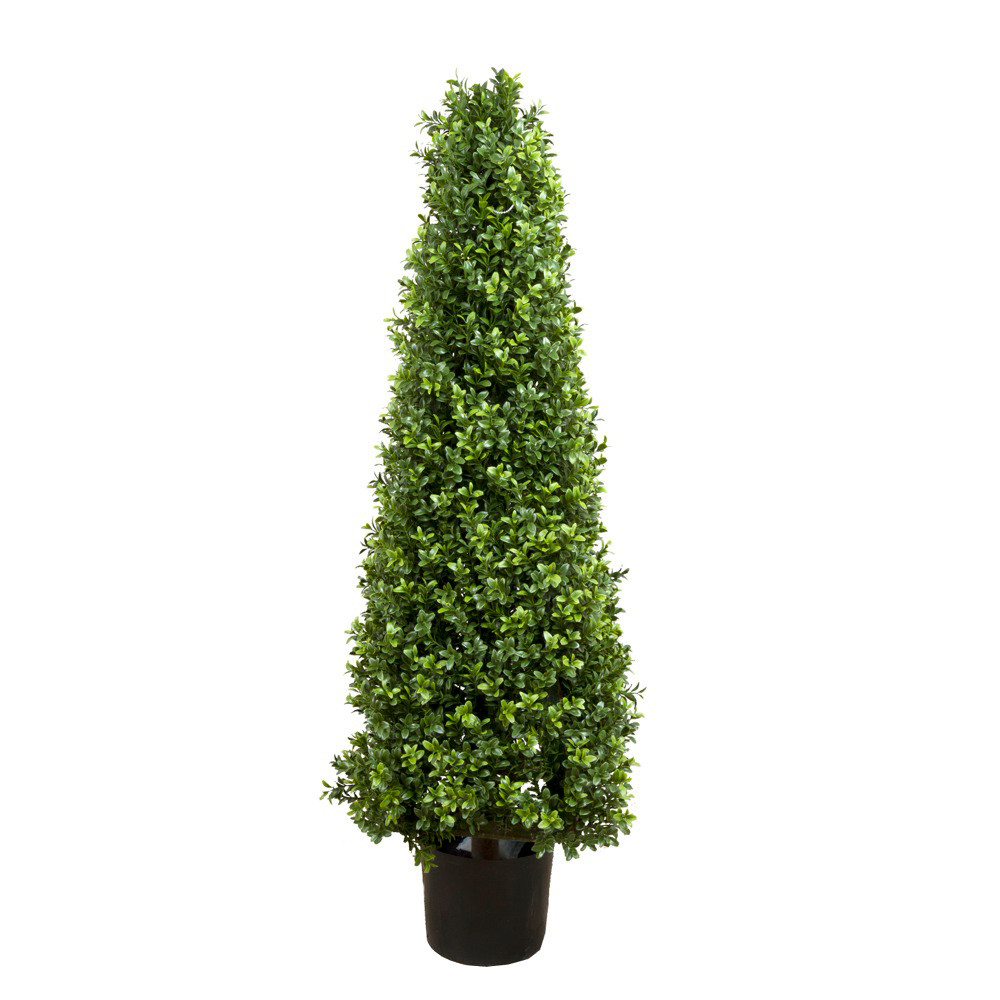 100cm Boxwood Pyramid Tree hire Sydney