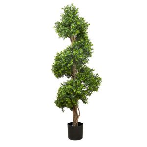 150cm Boxwood Spiral Tree hire Sydney