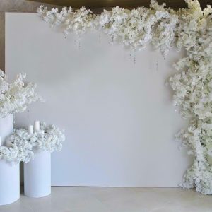 Olivia White Backdrop hire Sydney