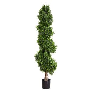 190cm Boxwood Spiral Tree hire Sydney