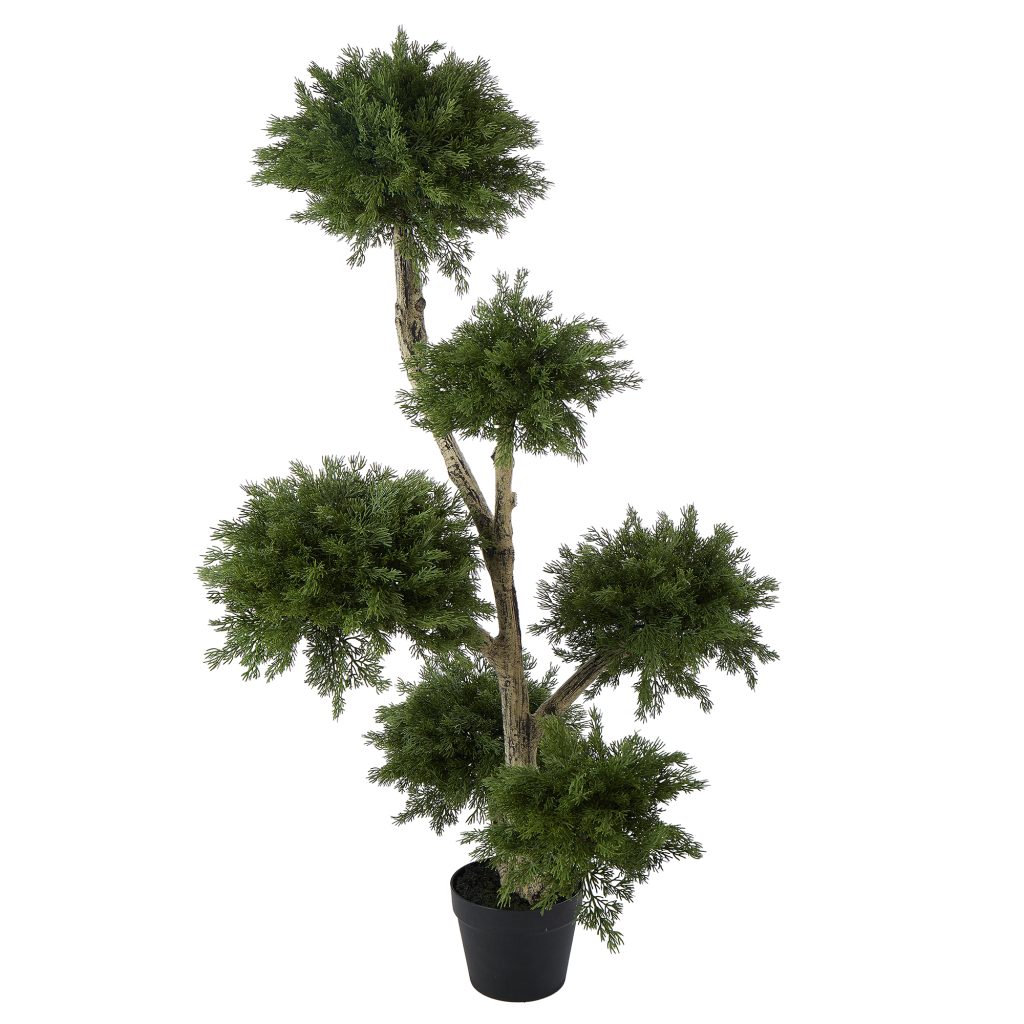 120cm Cloud Pine Tree hire Sydney