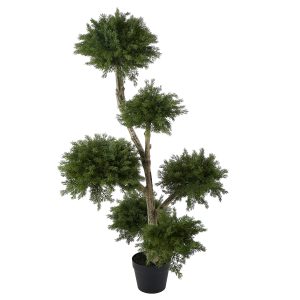 120cm Cloud Pine Tree hire Sydney