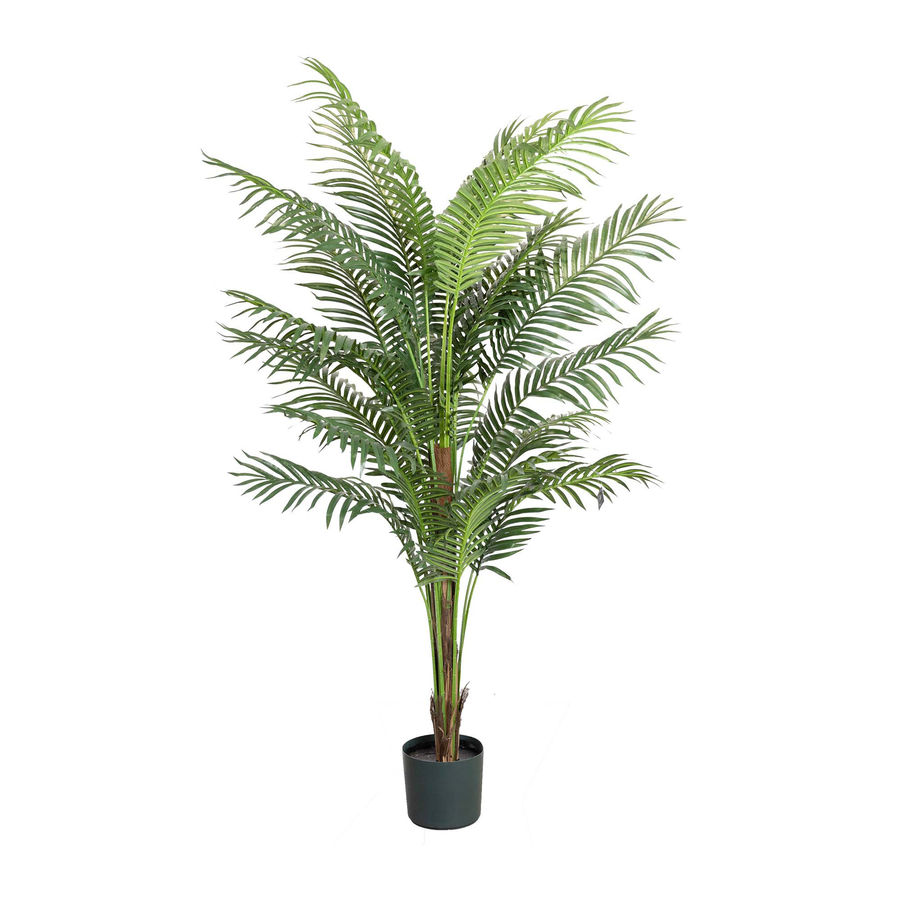 1.2m Phoenix Palm Tree