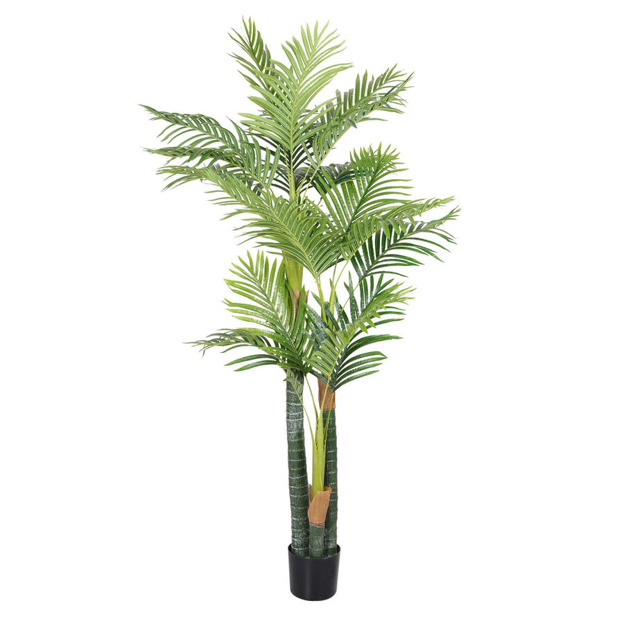 1.8m Hawaii Palm Tree