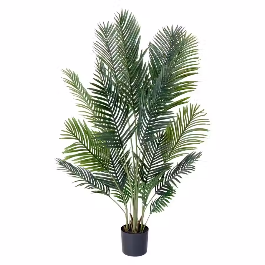 163cm Palm Tree